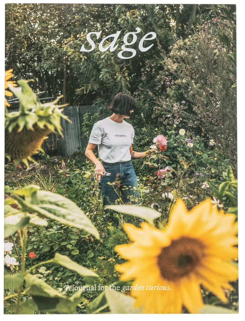 Sage Journal