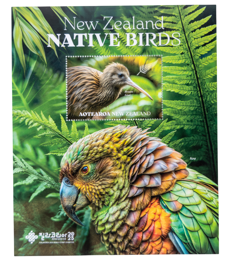 New Zealand Bird Series