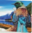 New Zealand Postcard - Milford Sound <br />
